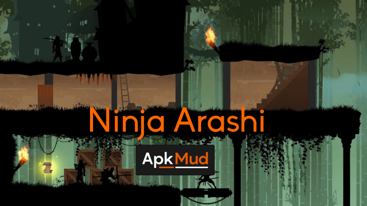 Ninja Arashi Cover